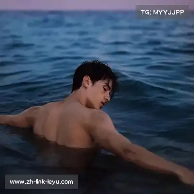 沈维朵